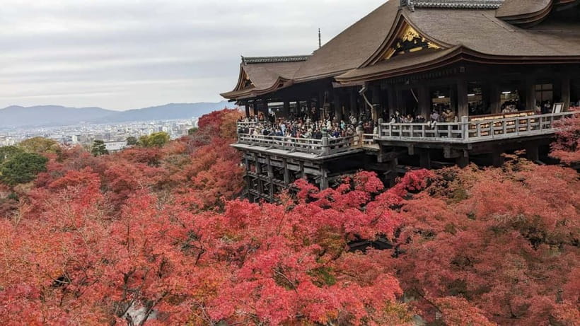 Kyoto: Walking tour Kiyomizu, Geisha District with a Local - Avoiding the main roads: why “quiet streets” feels smarter in Kyoto