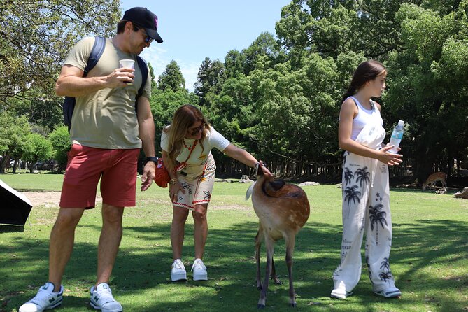 Luxury Kyoto 1-Day Private Car Tour with Nara & Osaka Options - Who should book this Kyoto day (and who should skip it)