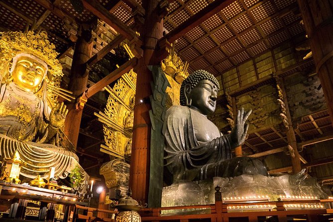 Nara 8hr Private Tour - Kyoto DEP. with Licensed Guide - What the day feels like with a great guide