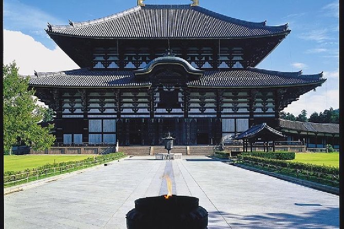 Nara Afternoon Tour from Kyoto or Osaka - Nara Park deer time: fun with a schedule attached