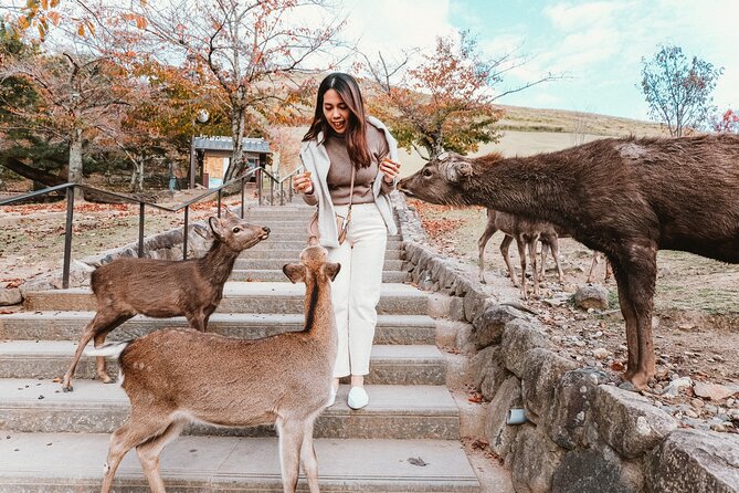 Nara Park, Osaka & Kobe from Kyoto Full Day tour - Price and value: why $90.30 can make sense (or not)