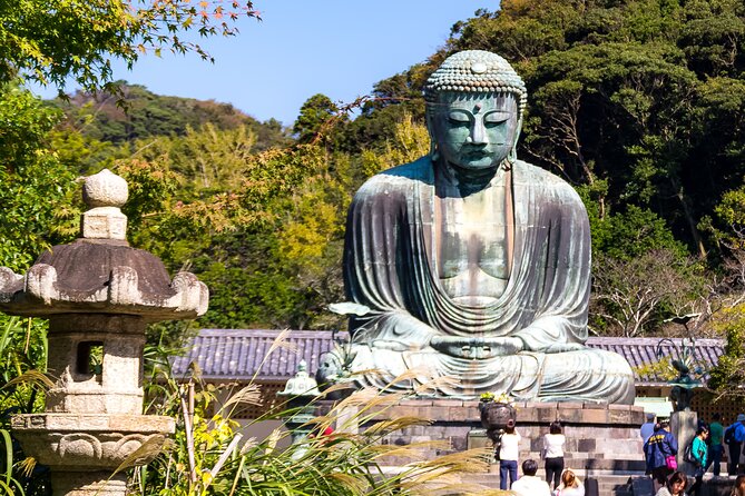 Nara Todaiji Kasuga Taisha Private Full Day Tour From Kyoto - Nara From Kyoto: Why This Day Trip Works