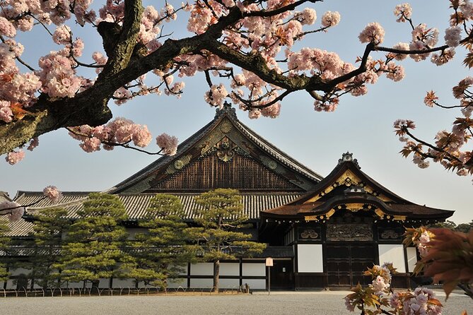 Nijo Castle Samurai Inside Story — Top-Rated Guide (Max 8) - Price and value: is $98 worth it in Kyoto?
