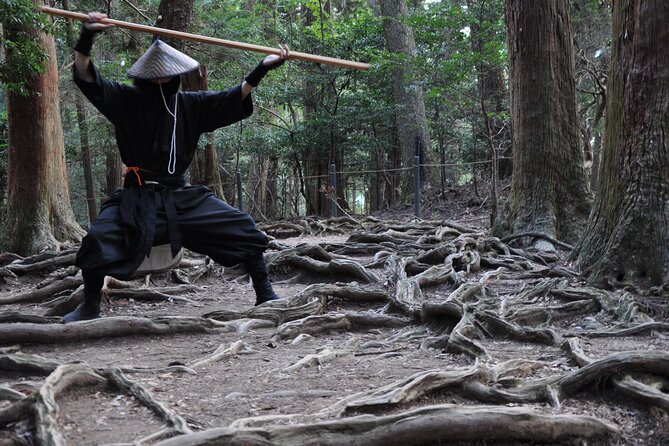 Ninja Trekking half-day tour at Mt.Daimonji Kyoto - Kyoto’s Mt. Daimonji hike, taught like Ninjutsu
