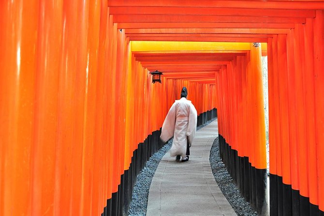 One-Day Tour of Kyoto's Highlights from Osaka/Kyoto - Price and What You Get for $66.32