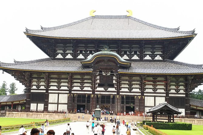 One-Day Walking Tour of Amazing 8th Century Capital Nara - Kasuga Grand Shrine and the Fujiwara Clan Story