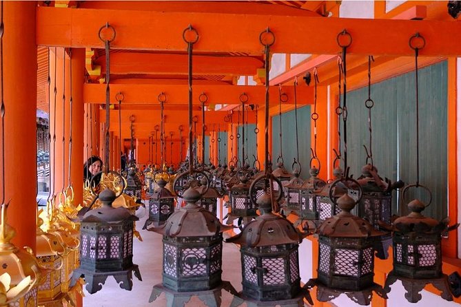 One-Day Walking Tour of Amazing 8th Century Capital Nara - Price and Logistics: What You’re Really Paying For