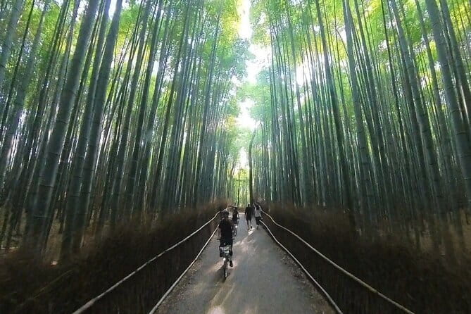ONLY YOU in the Bamboo Forest! 4 hours E-bike tour with a local - Why This E-bike Tour Works So Well in 4 Hours