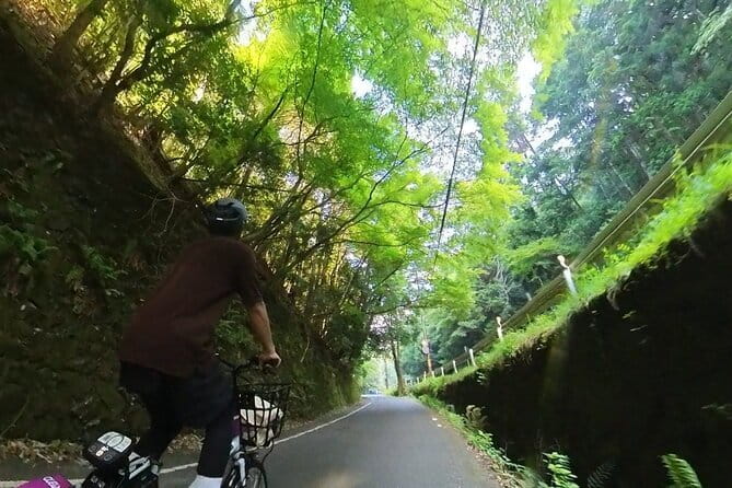 ONLY YOU in the Bamboo Forest! 4 hours E-bike tour with a local - Meeting at Arashiyama Station Without Stress