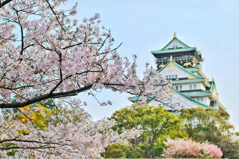 Osaka: Kyoto and Nara Private Day Trip - Arashiyama Bamboo Forest and Togetsu-kyō Bridge views