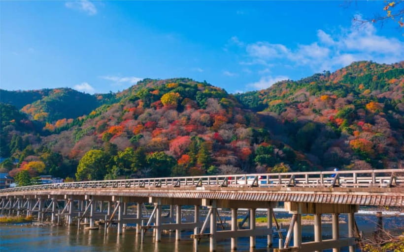 Osaka: Kyoto and Nara Private Day Trip - Who this day trip suits best, and who should reconsider