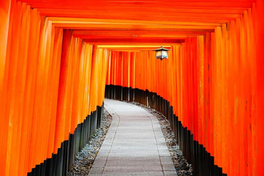 Osaka/Kyoto: Arashiyama, Nara & Fushimi Inari Shrine w/Lunch - Key reasons this tour scores high