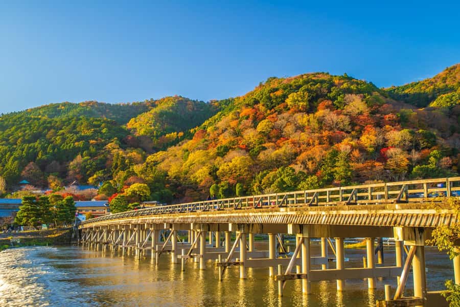Osaka/Kyoto: Arashiyama, Nara & Fushimi Inari Shrine w/Lunch - Fushimi Inari Taisha: how to enjoy the torii-gate staircase without losing your day