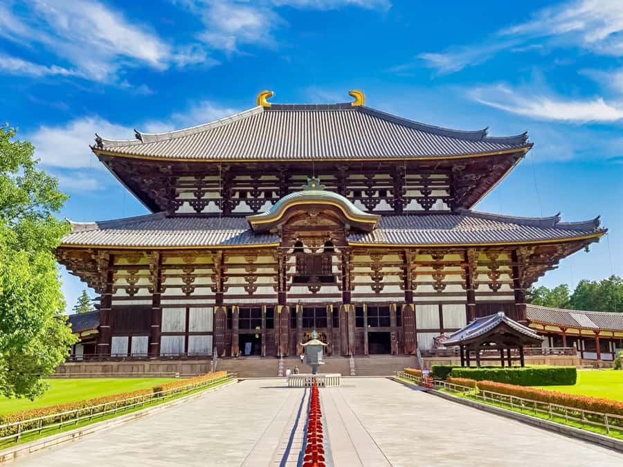 Osaka/Kyoto: Arashiyama, Nara & Fushimi Inari Shrine w/Lunch - Who should book this, and who might not love it