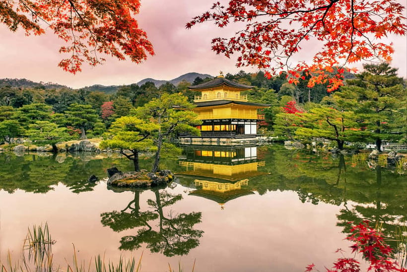 Osaka/Kyoto: Katsuoji, Kinkakuji, Arashiyama 1-Day Bus Tour - Nonomiya Shrine: a wish spot for love, health, and happiness