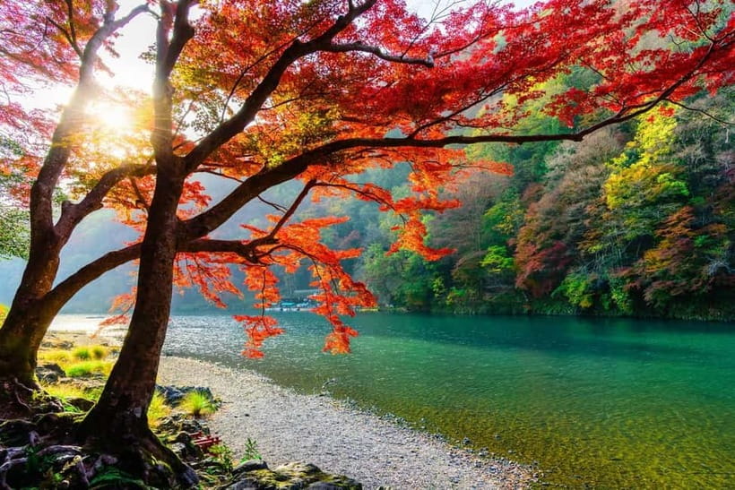 Osaka/Kyoto: Katsuoji, Kinkakuji, Arashiyama 1-Day Bus Tour - Kinkakuji Temple: golden calm in about 40 minutes