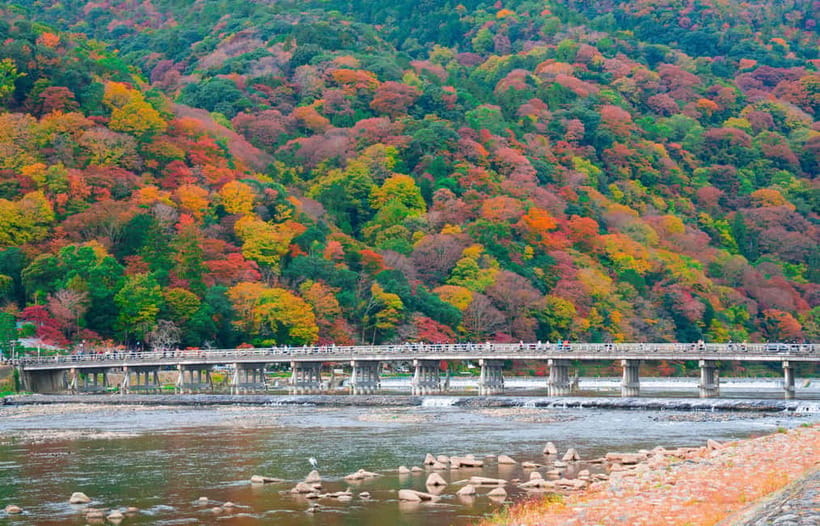 Osaka/Kyoto: Katsuoji, Kinkakuji, Arashiyama 1-Day Bus Tour - Price and logistics: what $56 gets you in the real world
