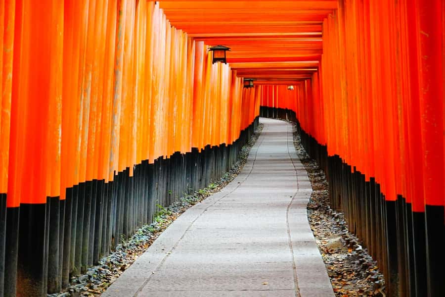 Osaka/Kyoto:Kinkakuji,Arashiyama,FushimiInariShrine,NaraPark - A one-day hit list from Osaka or Kyoto