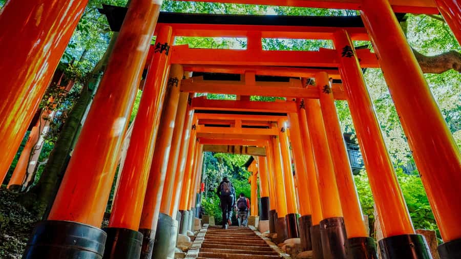 Osaka/Kyoto:Kinkakuji,Arashiyama,FushimiInariShrine,NaraPark - VIP lounge start and the timing you should respect