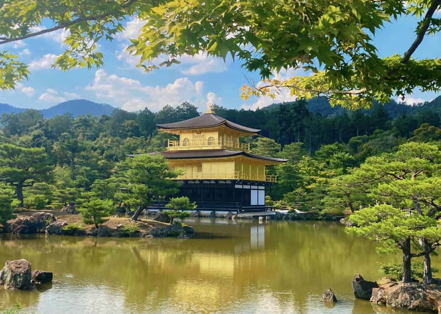 Osaka/Kyoto:Kinkakuji,Arashiyama,FushimiInariShrine,NaraPark - Fushimi Inari Taisha: walking 1,000 torii gates up Mount Inari