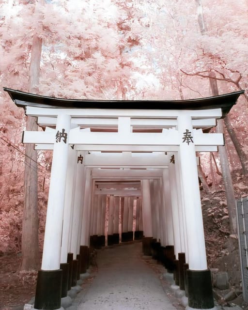 Osaka/Kyoto/Nara: Custom Tour with English-Speaking Guide - Guide quality in real life: the names people kept praising
