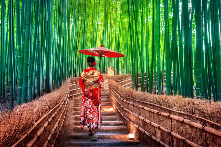 Osaka/Kyoto: Private Kyoto and Nara Day Trip - Key things I’d plan around