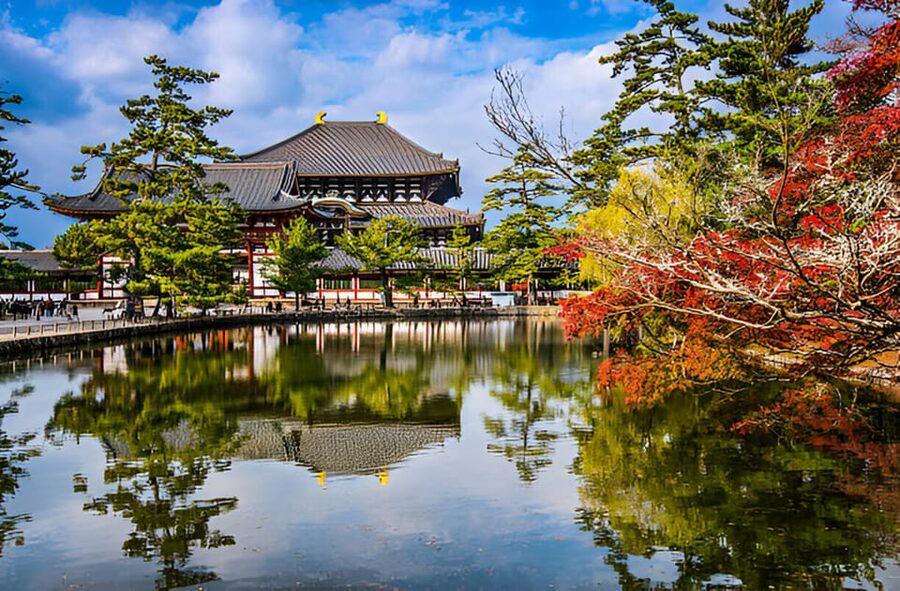 Osaka/Kyoto: Private Kyoto and Nara Day Trip - The transfer to Nara: where planning saves your energy