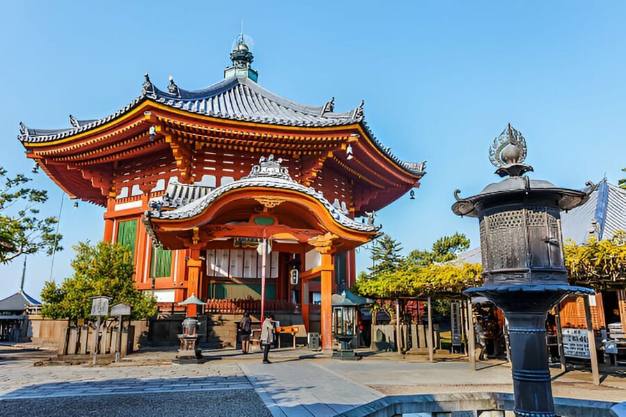 Osaka/Kyoto: Private Kyoto and Nara Day Trip - Nara Park and the deer: fun, fast, and real
