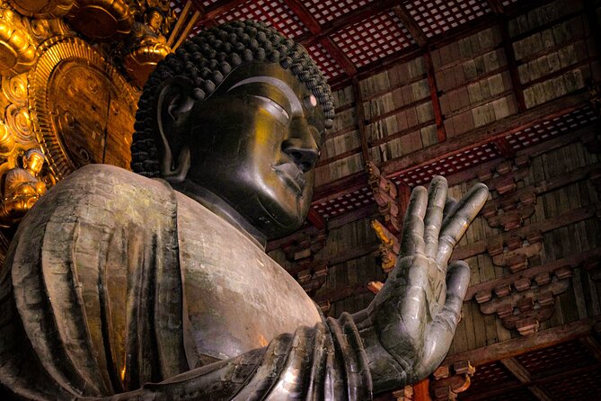Osaka & Nara in 1-Day by Private Van with Local Expert Guide - Door-to-Door by Private Van: The Real Value in “One Day”