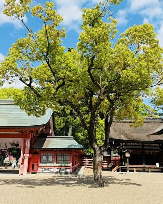 Osaka & Nara: Private Tour with English speaking guide - Shitennoji and the shrine stop: adding depth beyond the big names