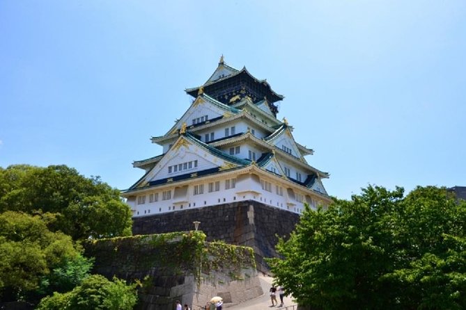 Osaka Private Tour by Public Transportation from Kyoto - Hotel-lobby pickup turns Kyoto-to-Osaka into a one-day win