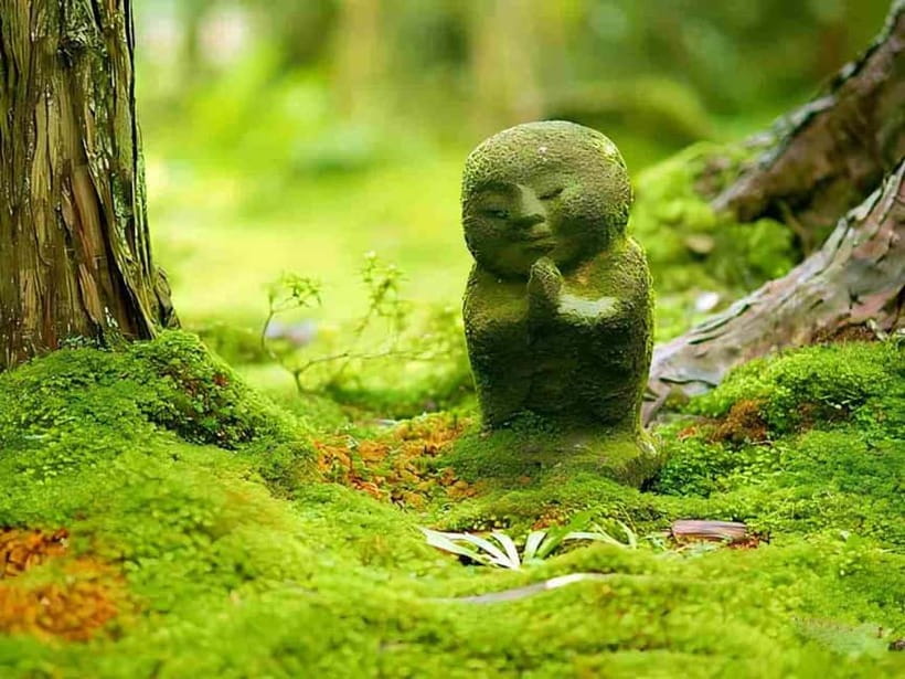 Osaka to Kyoto: Arashiyama Bamboo Grove Small Group Tour - When to go: seasonal color for Sanzen-in and Kifune