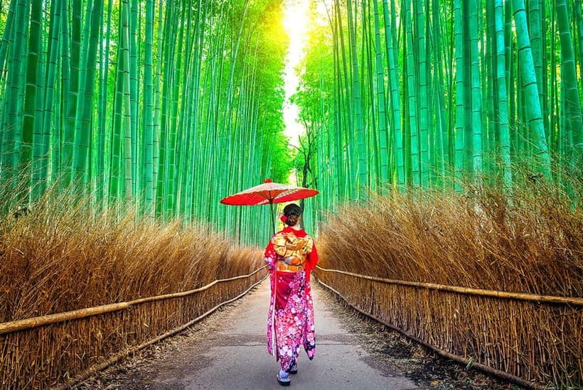 Osaka to Kyoto: Arashiyama Bamboo Grove Small Group Tour - A 10-hour plan that actually fits real travel days