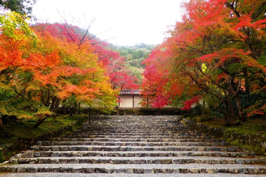 Osaka to Kyoto: Arashiyama Bamboo Grove Small Group Tour - Transport comfort and pacing: luxury van, but pack light