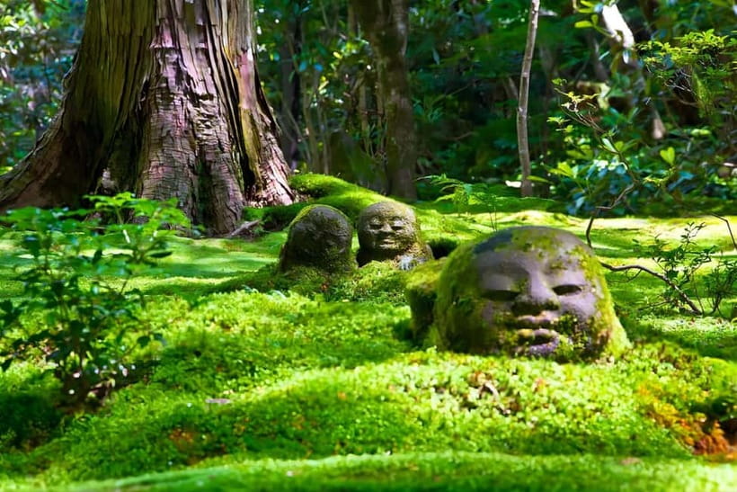 Osaka to Kyoto: Arashiyama Bamboo Grove Small Group Tour - Price and value: what $69 buys you in Kyoto time