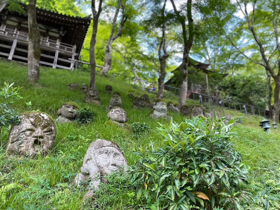 Otagi Nenbutsu-ji & Arashiyama Bamboo Forest Walking Tour - How Otagi Nenbutsu-ji changes your Arashiyama visit