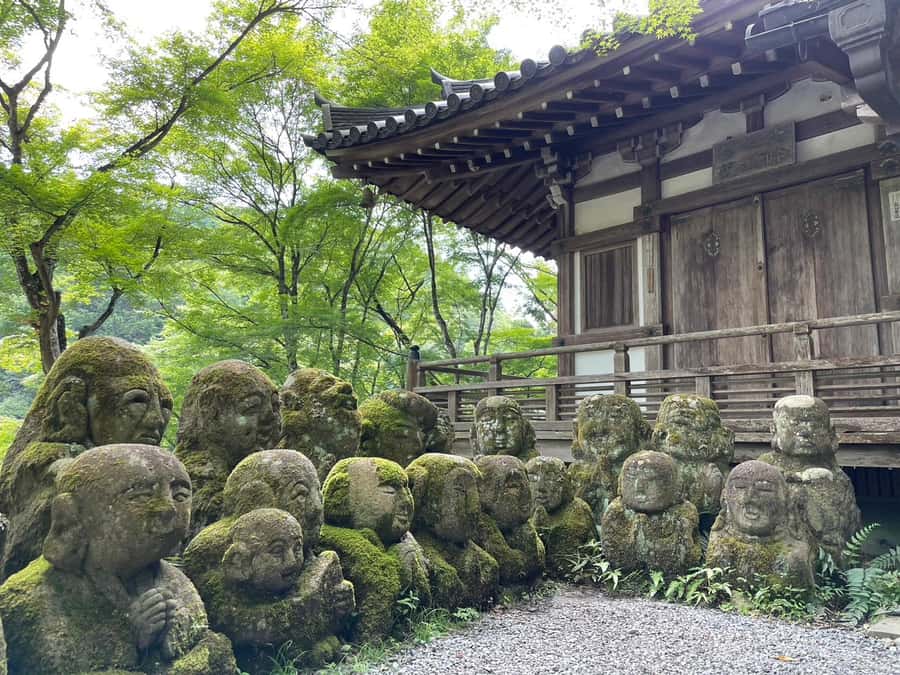 Otagi Nenbutsu-ji & Arashiyama Bamboo Forest Walking Tour - Otagi Nenbutsu-ji: 1,200 Rakan statues up close