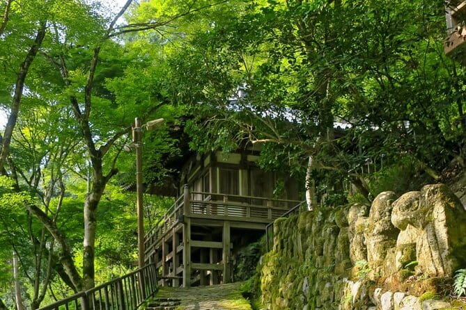 Otagi Nenbutsu Temple and Arashiyama Bamboo Forest Tour - Kyoto Station to Arashiyama without the transport headache