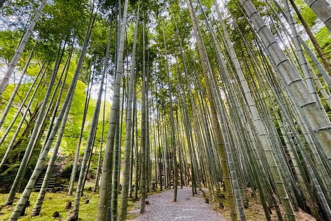 Pedal Adventure Kyoto E-Bike tour : True Kyoto Avoid the crowds - Why This True Kyoto Route Beats the Usual Bus Circuit