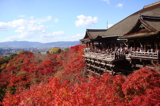 PERFECT KYOTO 1-Day Bus Tour - Key Highlights I’d Prioritize Before You Go