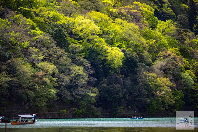 Private 3-hour Kyoto Arashiyama Rickshaw Tour - Gio-ji moss garden: vivid green you can feel in your eyes
