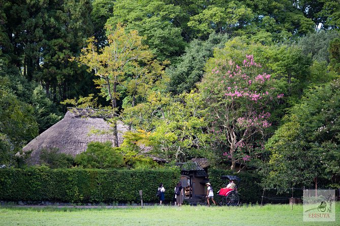Private 3-hour Kyoto Arashiyama Rickshaw Tour - Jojakkoji viewpoint: steps under trees and a city look