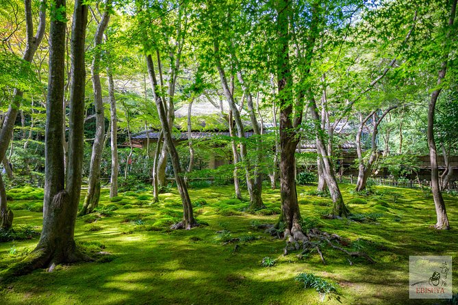Private 3-hour Kyoto Arashiyama Rickshaw Tour - The bamboo forest shrine and the matchmaking story