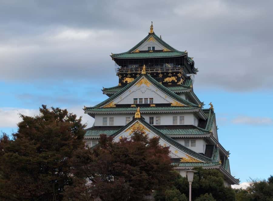 Private 8 hour Tour around Kyoto with Spanish guide - Ginkakuji Silver Pavilion: A Scenic Setting Plus a Real Food Break