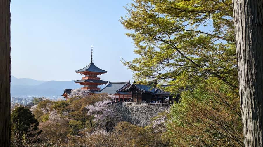 Private 8 hour Tour around Kyoto with Spanish guide - Nijō Castle: Shogun Power at a Walkable UNESCO Stop