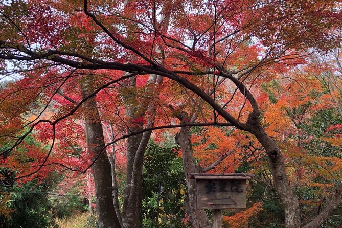 Private car tour in Kyoto (up to 4) - Gion: A Geisha District Stroll With Time to Actually Look