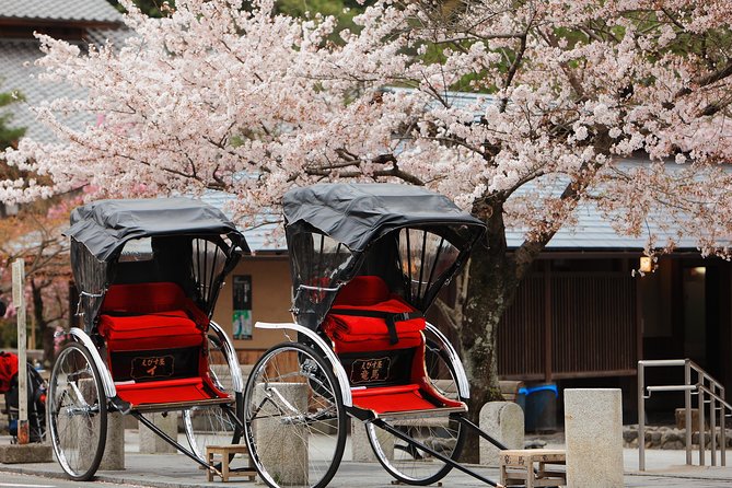 Private Custom Tour: Kyoto in One Day - Quick Take: What This One-Day Kyoto Tour Gets Right