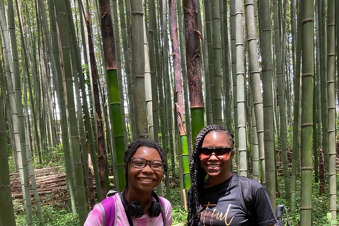 Private Custom Tour: Kyoto in One Day - Lunch and Small Food Wins That Make Kyoto Feel Real