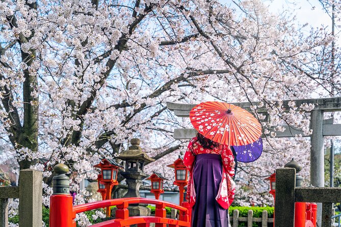 Private Customized 3 Full Days Tour Package: Discover Kyoto, Arashiyama and Nara - Transportation, pickup in Gion, and what to confirm