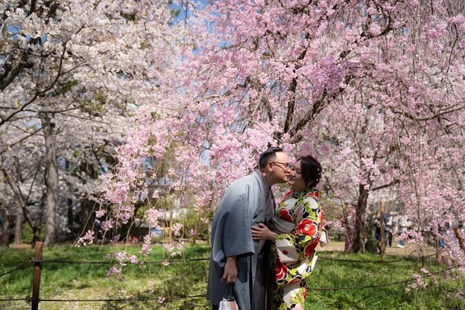 Private Customized Tour with Local Guide In Kyoto - Key points to know before you go